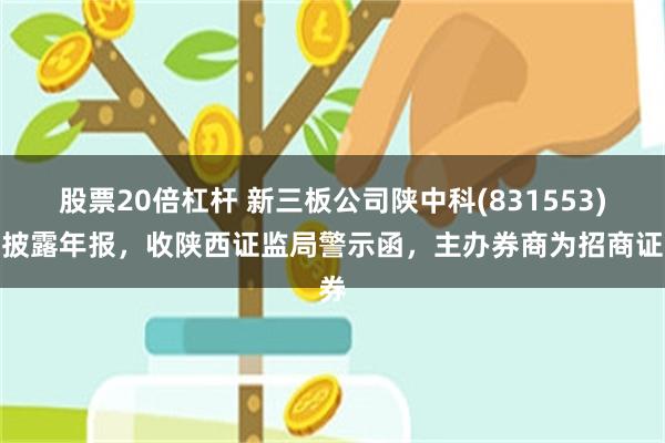 股票20倍杠杆 新三板公司陕中科(831553)未披露年报，收陕西证监局警示函，主办券商为招商证券