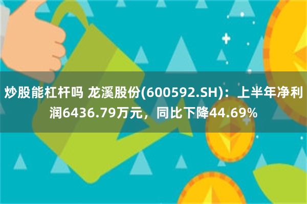 炒股能杠杆吗 龙溪股份(600592.SH)：上半年净利润6436.79万元，同比下降44.69%