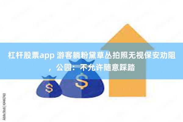 杠杆股票app 游客躺粉黛草丛拍照无视保安劝阻，公园：不允许随意踩踏