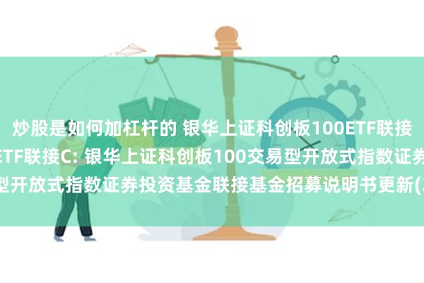 炒股是如何加杠杆的 银华上证科创板100ETF联接A,银