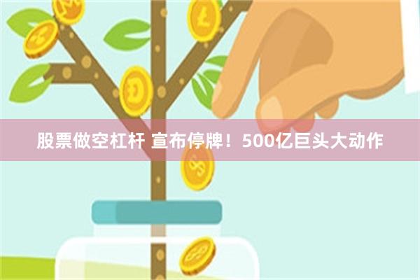 股票做空杠杆 宣布停牌！500亿巨头大动作