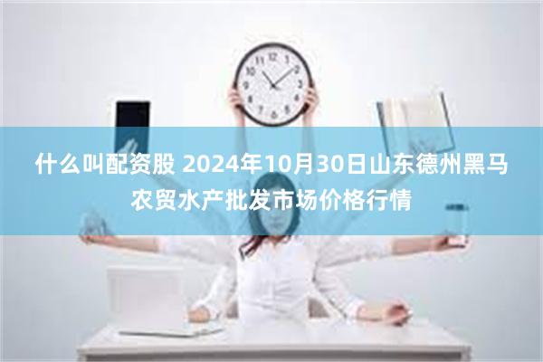 什么叫配资股 2024年10月30日山东德州黑马农贸水产批发市场价格行情