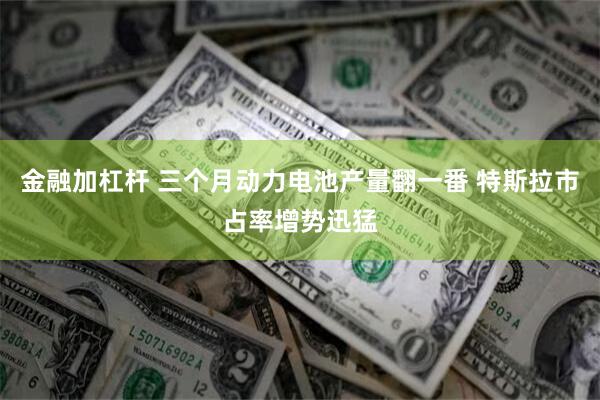 金融加杠杆 三个月动力电池产量翻一番 特斯拉市占率增势迅猛