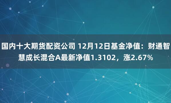 国内十大期货配资公司 12月12日基金净值：财通智慧成长混合A最新净值1.3102，涨2.67%