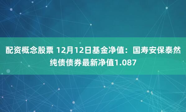 配资概念股票 12月12日基金净值：国寿安保泰然纯债债券最新净值1.087