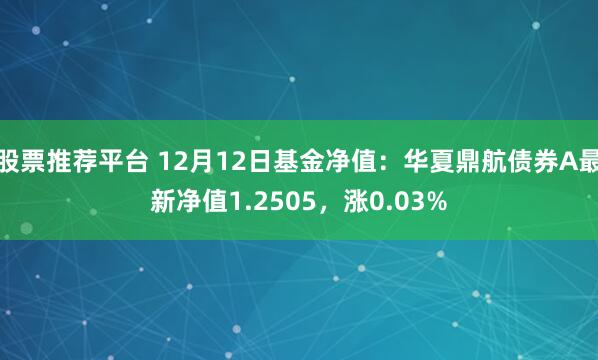 股票推荐平台 12月12日基金净值：华夏鼎航债券A最新净值1.2505，涨0.03%