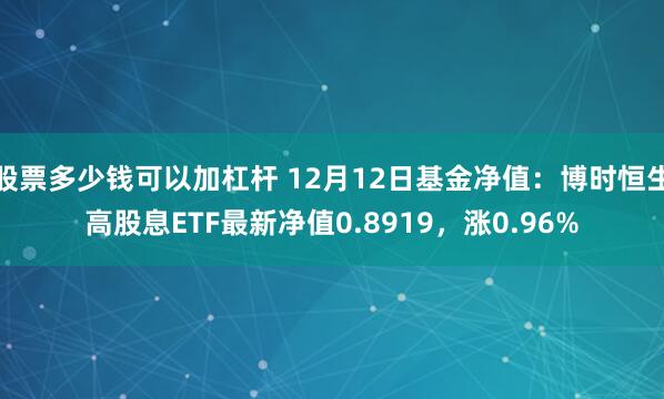 股票多少钱可以加杠杆 12月12日基金净值：博时恒生高股息ETF最新净值0.8919，涨0.96%