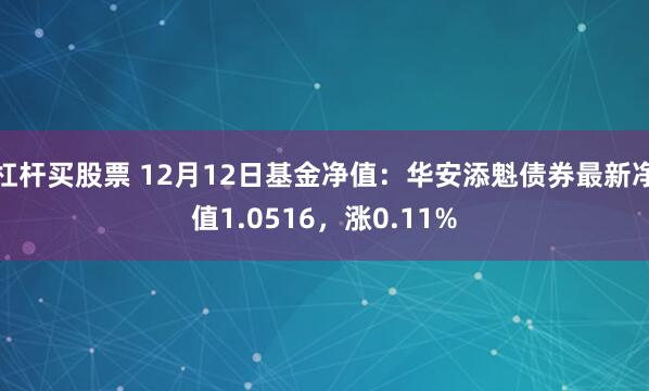 杠杆买股票 12月12日基金净值：华安添魁债券最新净值1.0516，涨0.11%