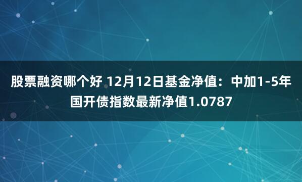 股票融资哪个好 12月12日基金净值：中加1-5年国开债指数最新净值1.0787