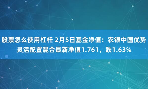 股票怎么使用杠杆 2月5日基金净值：农银中国优势灵活配置混合最新净值1.761，跌1.63%