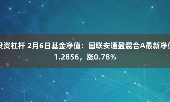 投资杠杆 2月6日基金净值：国联安通盈混合A最新净值1.2856，涨0.78%