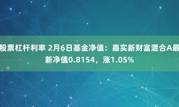 股票杠杆利率 2月6日基金净值：嘉实新财富混合A最新净值0.8154，涨1.05%