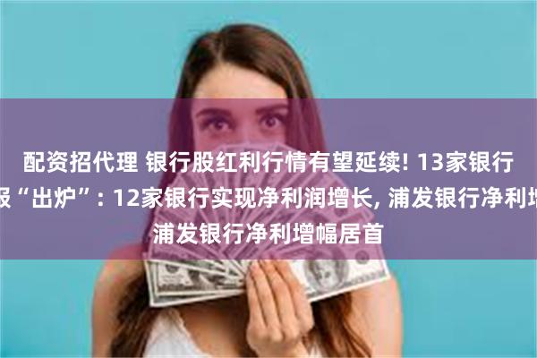 配资招代理 银行股红利行情有望延续! 13家银行业绩快报“出炉”: 12家银行实现净利润增长, 浦发银行净利增幅居首