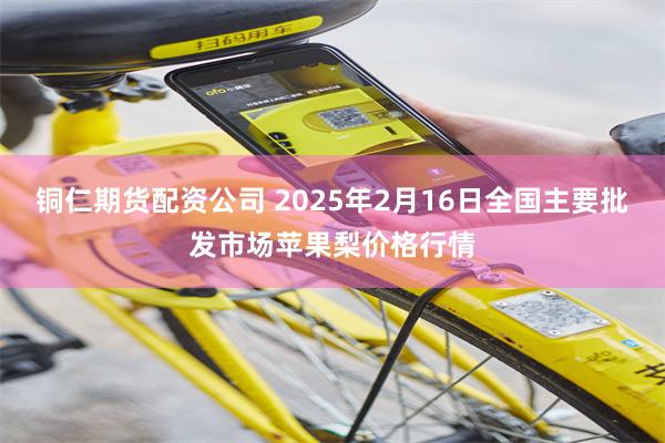 铜仁期货配资公司 2025年2月16日全国主要批发市场苹果梨价格行情