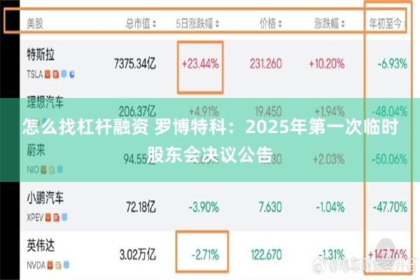 怎么找杠杆融资 罗博特科：2025年第一次临时股东会决议公告