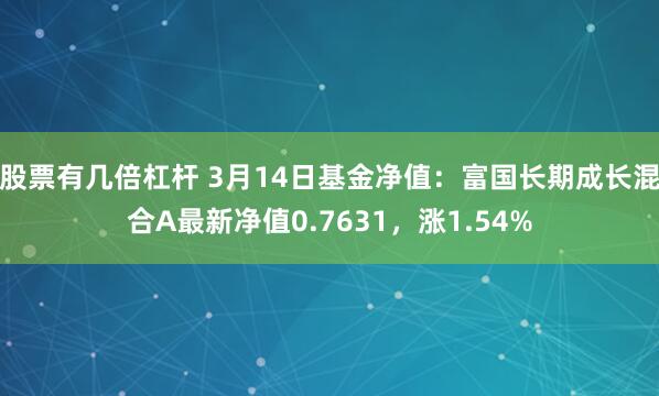 股票有几倍杠杆 3月14日基金净值：富国长期成长混合A最新净值0.7631，涨1.54%